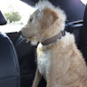 Meet your Posher, Josef